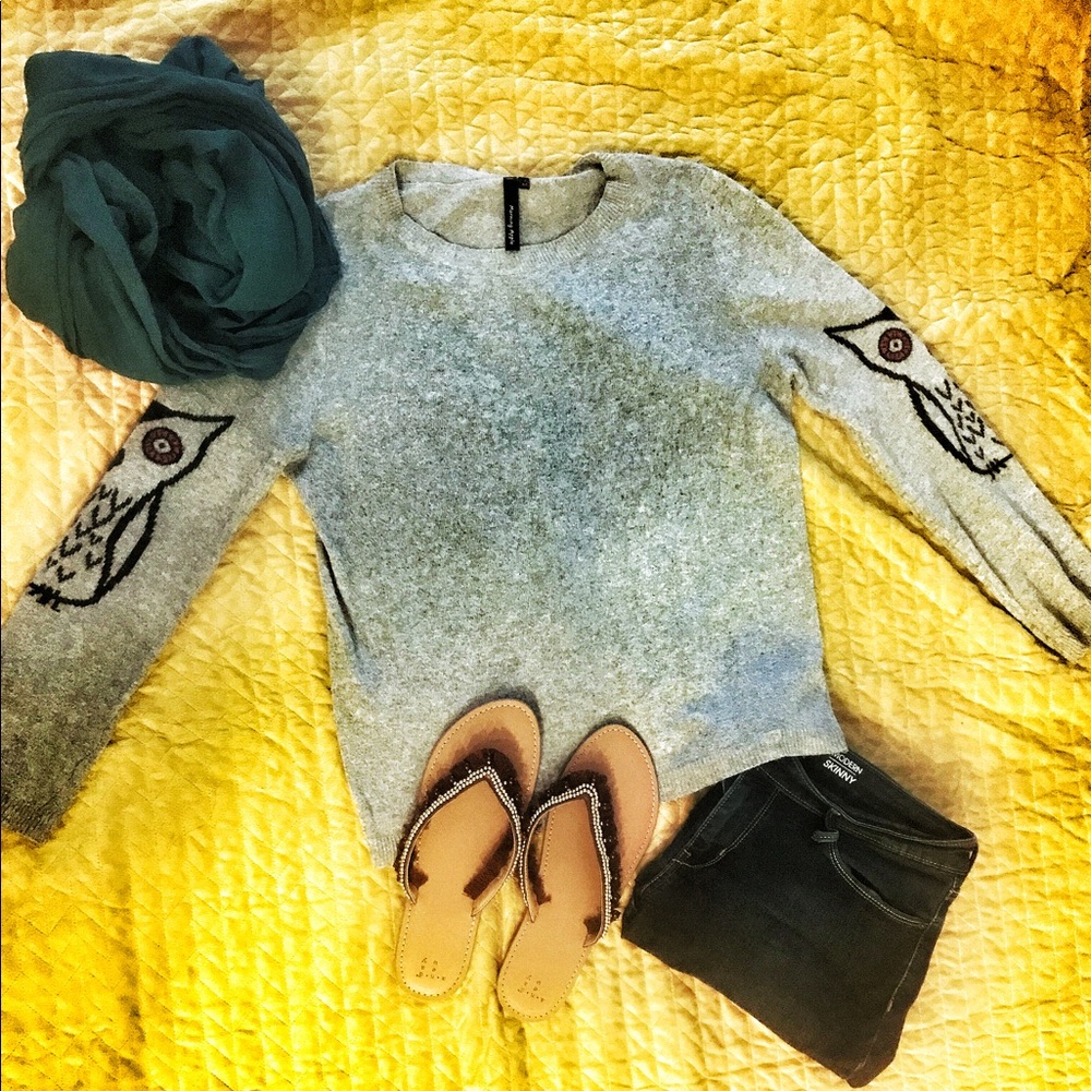 Morning Apple Gray Owl Sweater, Medium.